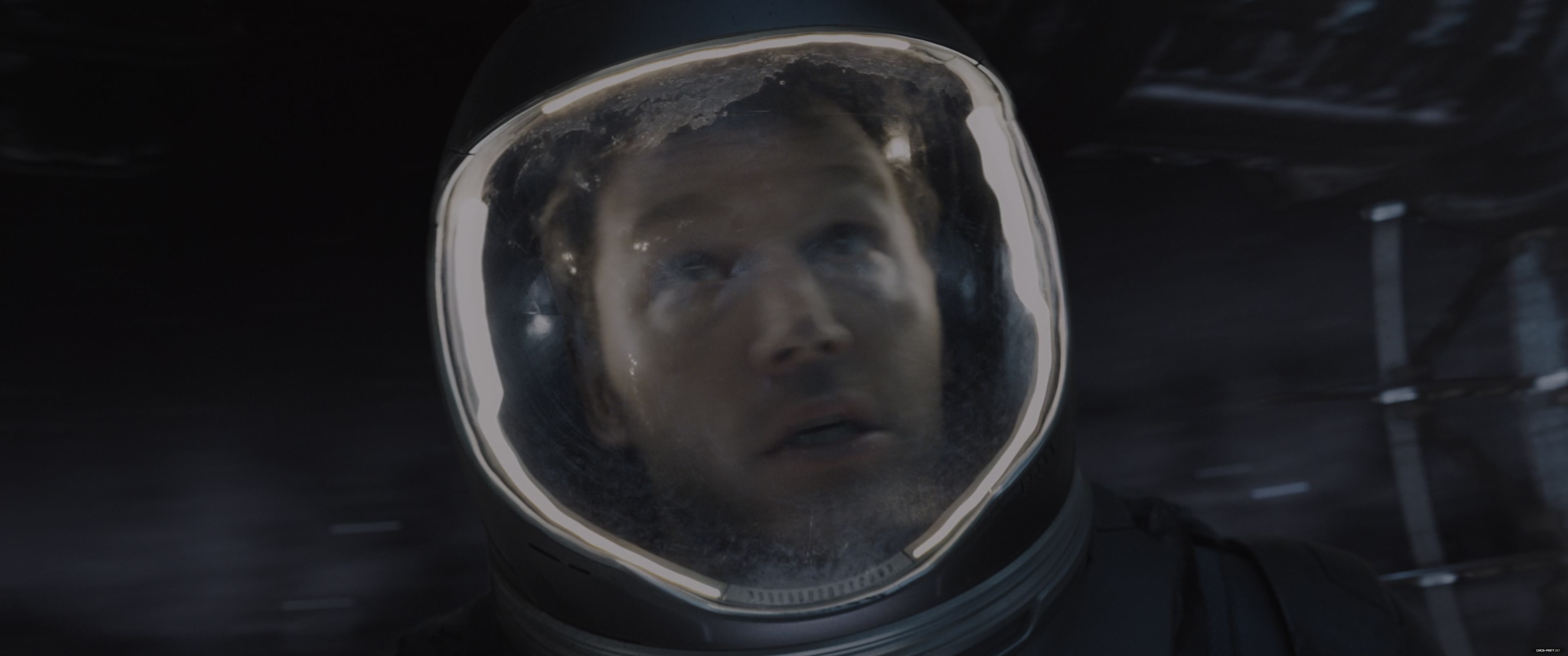 742.jpg