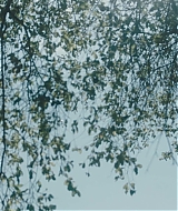 3200.jpg